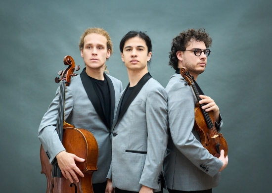 TRIO CONCEPT