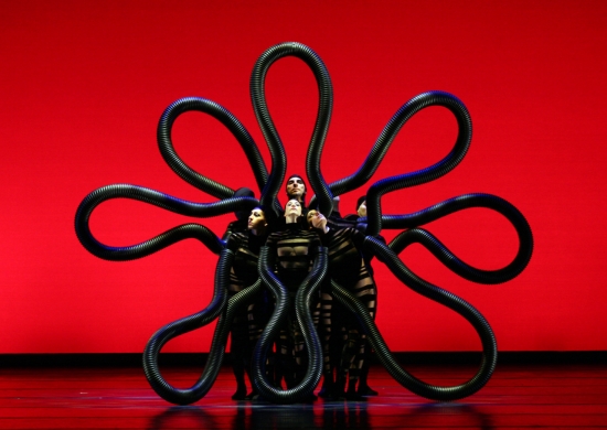 MOMIX: BOTANICA SEASON 2