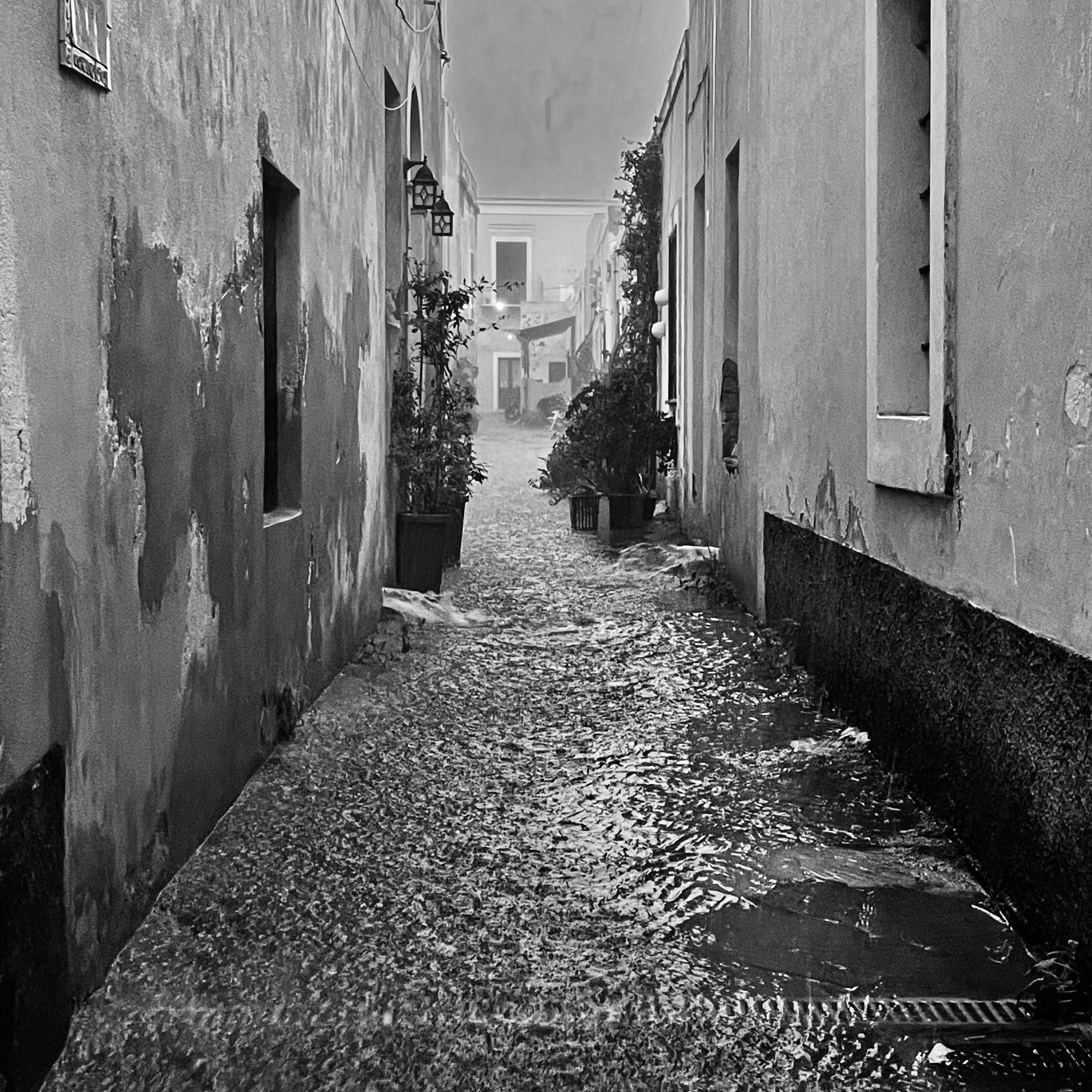 FABRICA: MUSICA E LETTERATURA. EREMIA 3