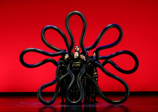 MOMIX: BOTANICA